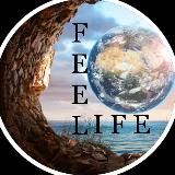 FEEL LIFE Чувствуй жизнь 🌍