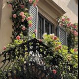 ﮼نسمات،🕊💓