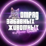 ОТРЯД ЗАБАВНЫХ ЖИВОТНЫХ