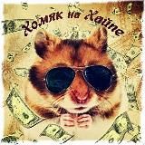 Информационый канал Хомяка на Хайпе