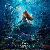 Invincible / Trolls 3 / Paw Patrol Movie 2023 / One Piece Latino Netflix / Miraculous y Cat Noir película Ruby Aventuras de una