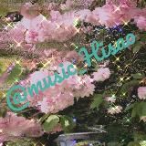 ❄️ Winter Music Room 🌨