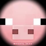 Minecraft | World 🐽