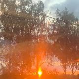 Полуночные разговоры