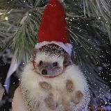 "Муми-Веснушки 🌸"