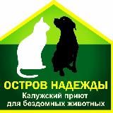 Приют «Остров надежды»