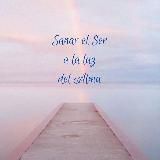 Otra forma de estar en el mundo🌻