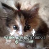 чатик для болтушек🫣🎀