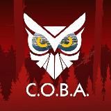 С.О.В.А | С Обществом Вместе - Анапа