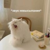 Чат токсиков