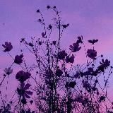 💗♡Уютный канальчик♡💗