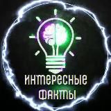 Интересные факты