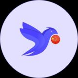 Chinese Crypto 🇨🇳