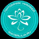 WaterLilia