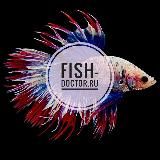 Fish Doctor 🐠