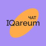 Чат/IQareum Media