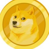 Doge Stars Chat