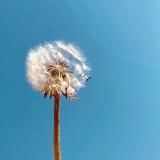 ʙᴏʀɴᴋʏʀɢʏᴢ 🇰🇬🇺🇸