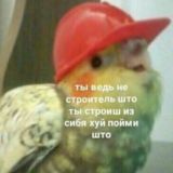 ПриёмныйСАДИК