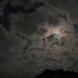 لـ صُدفه •