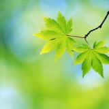 کانال روانشناسی تربیتی یا روانشناسی پرورشی سیف