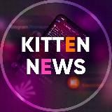 Kitten News