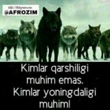 Xorazm shoxlari | official