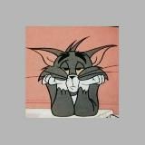 𝐈 𝐓 𝐀 𝐋 𝐈 𝐀 𝐍 𝐎ོ 🇮🇹