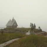 Родное болото