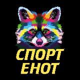 Спорт Енот