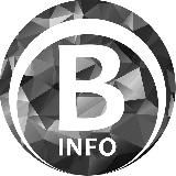 BTI.BitInfo