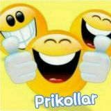 Prikollar gruppasi😂😂😂️