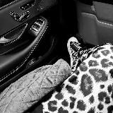 •····• Versace •····•