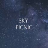 skypicnic.uz