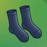 ️Носки Дурова️