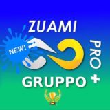 NewZuamiPro