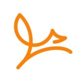Fox's Language
