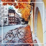 Женское сообщество Питера