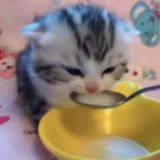 jovanaesthetic, OPEN.