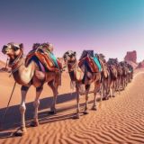 ✨🇺🇿Milliy Yuk Karvoni🇺🇿🐫✨