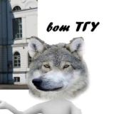 ВОТ ТГУ чат
