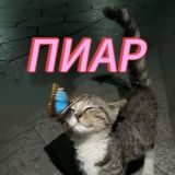 ПИАР ЧАТ ХУДОЖНИКОВ [Qwolity]