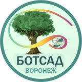 Ботанический сад, ВОРОНЕЖ