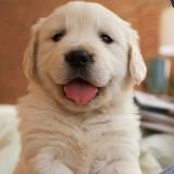 Whale DeeZe Prints ™️