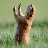 Полный улет👌