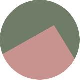 Сообщество пси-практиков SuperVision©