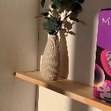 Здоровье Изнутри . 🌲