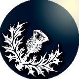 Ars Carduus — Искусство Чертополоха