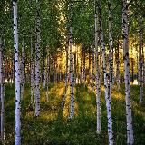 Путешествие по России 🇷🇺❤️