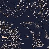 stay wild, book child